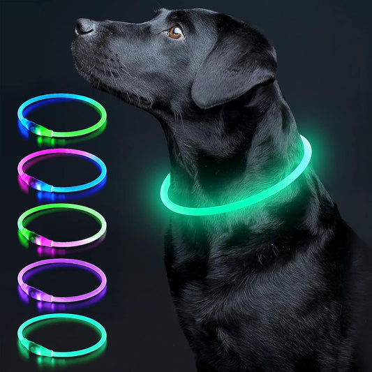 Light up Dog Collar, USB Rechargeable LED Glow Necklace, Cyan