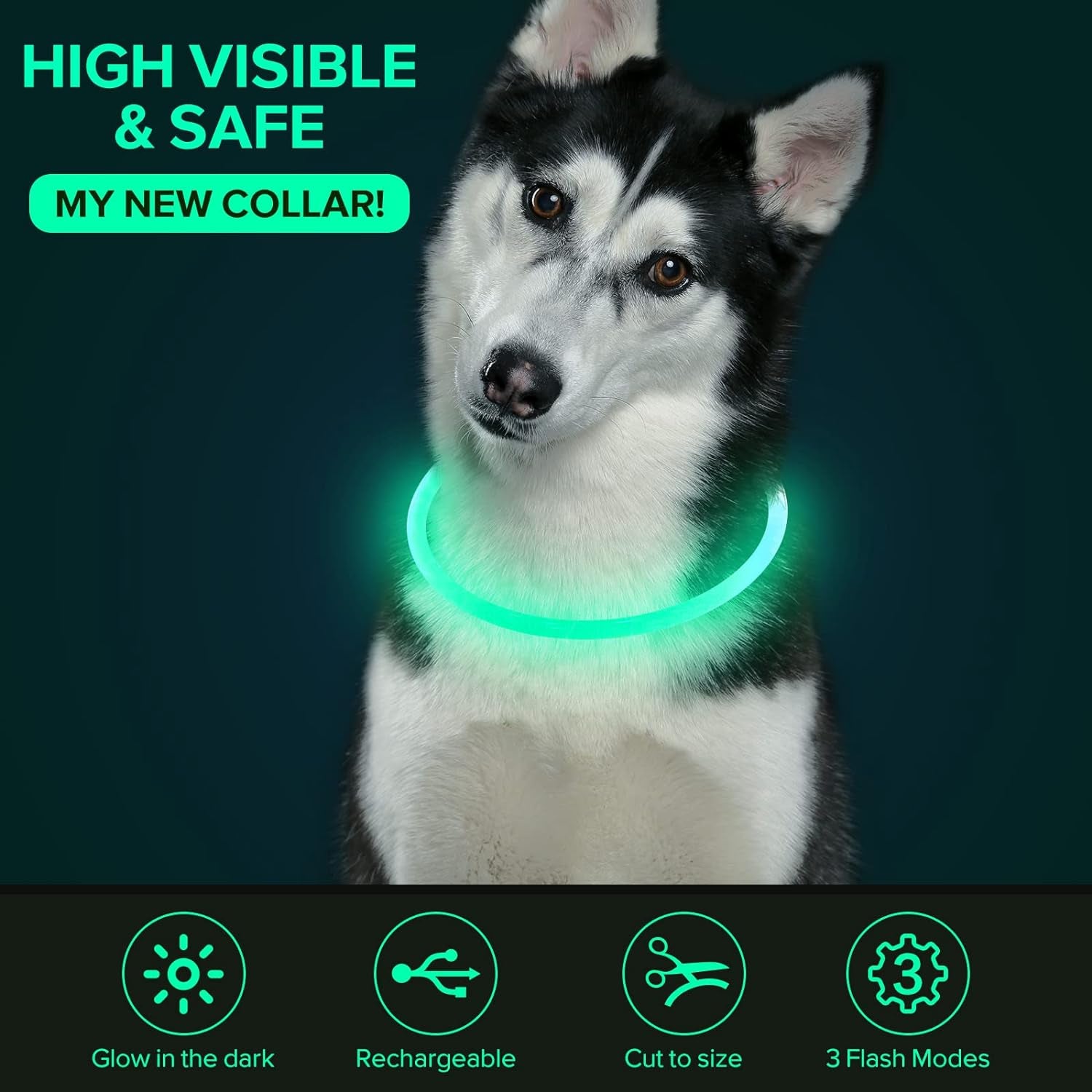 Light up Dog Collar, USB Rechargeable LED Glow Necklace, Cyan