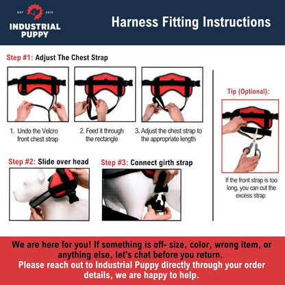 Service Dog in Training Vest Harness, Small 19.5-25 in Red