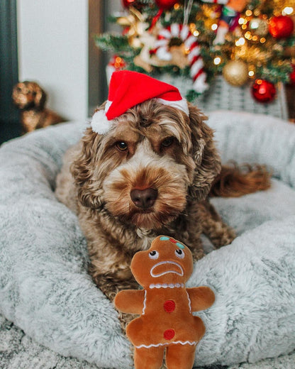 Small Dog Toy Christmas, Plush Squeaky Puppy Toy, Holiday Dog Toy Gift Set
