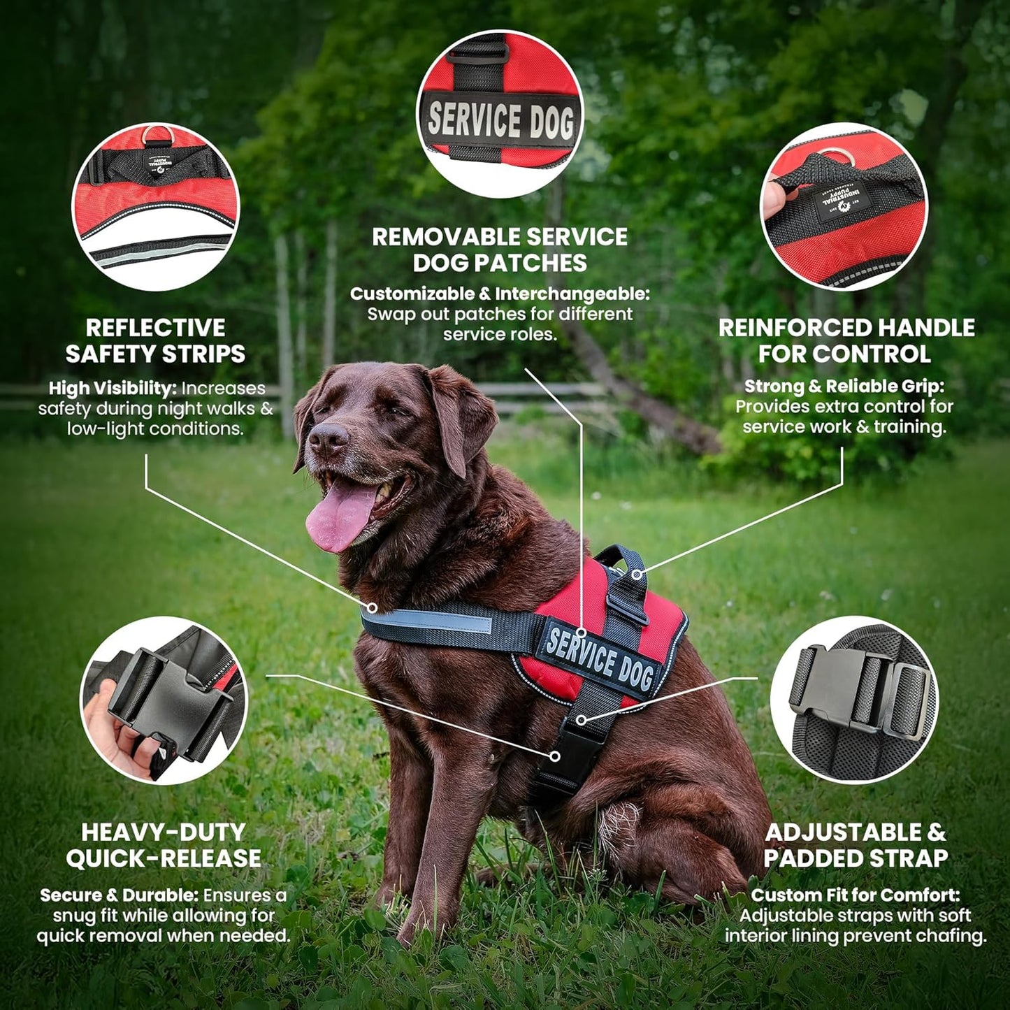 Service Dog in Training Vest Harness, Small 19.5-25 in Red