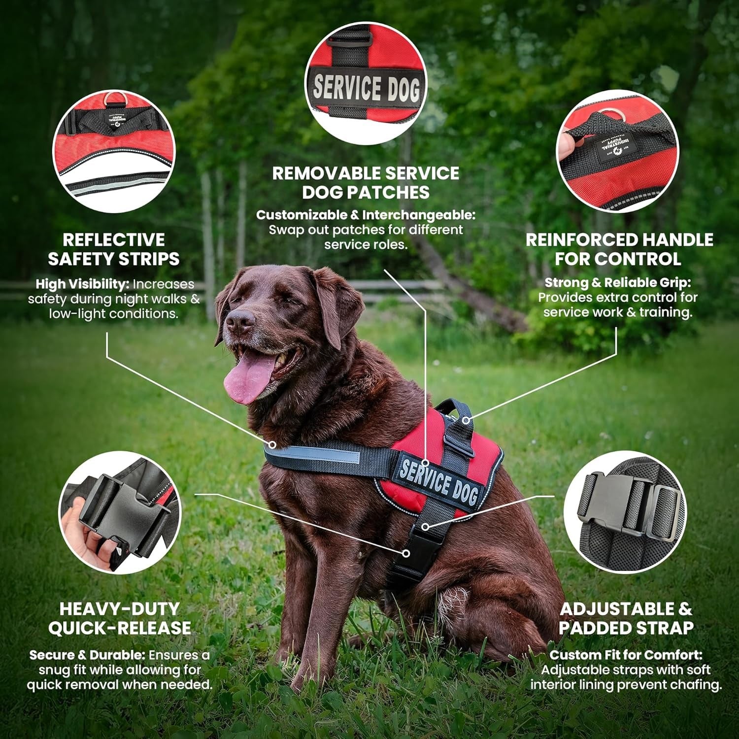Service Dog in Training Vest Harness, Small 19.5-25 in Red