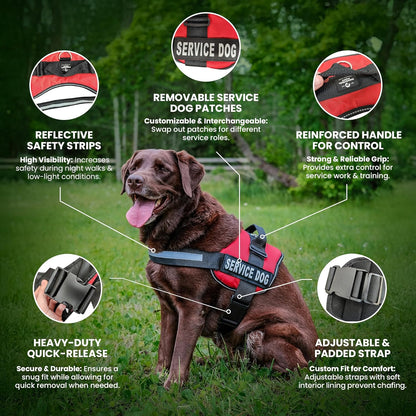Service Dog in Training Vest Harness, Small 19.5-25 in Red