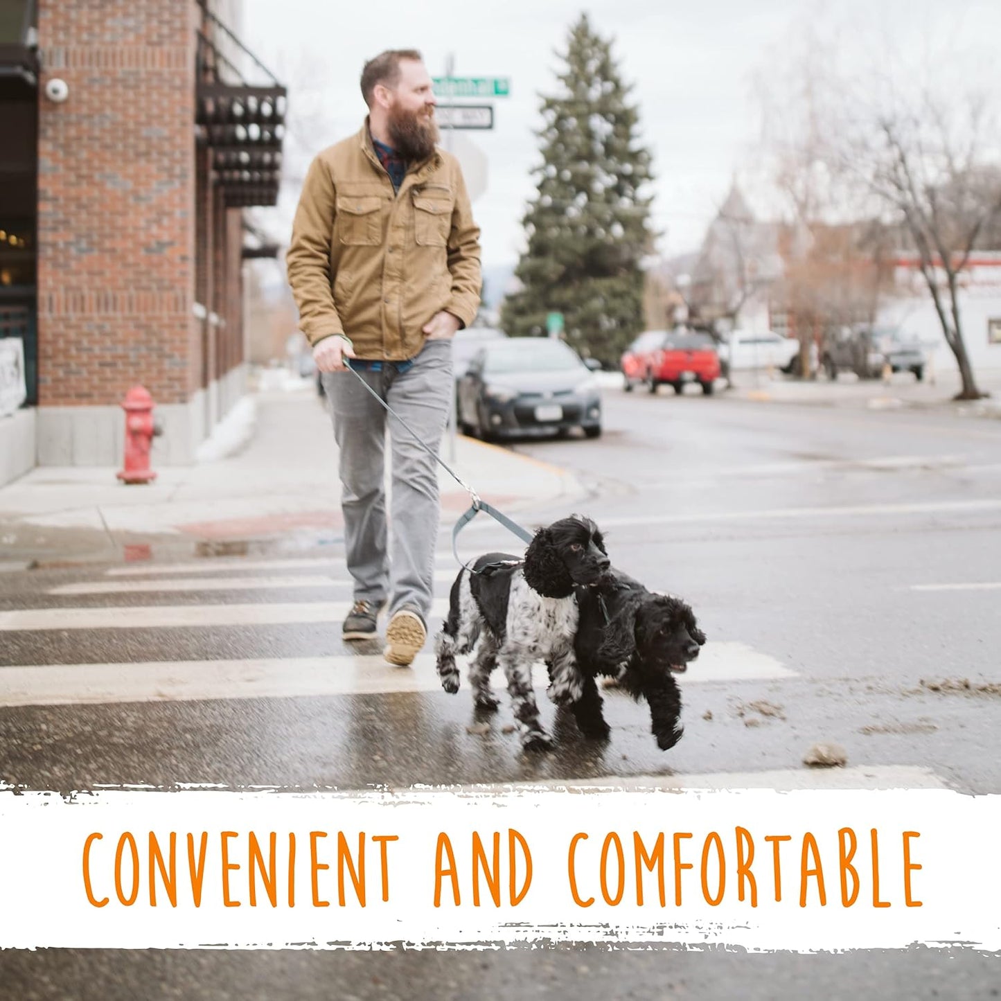 Double Dog Leash - Double Leash for Two Dogs No Tangle Design. Split Lead for 2 Pets. Adjustable to Fit All Sized Breeds. Reflective Dual Pet Lead for People with 2 Pups