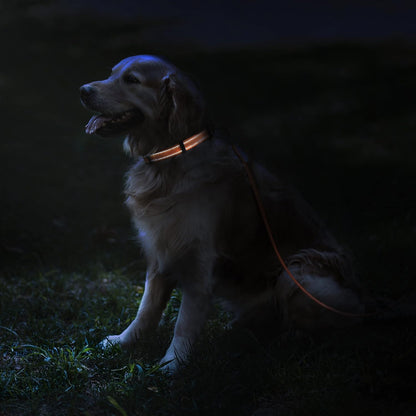Reflective Dog Collar, Quick-Release Buckle (Black, 7-11 Inch (New))