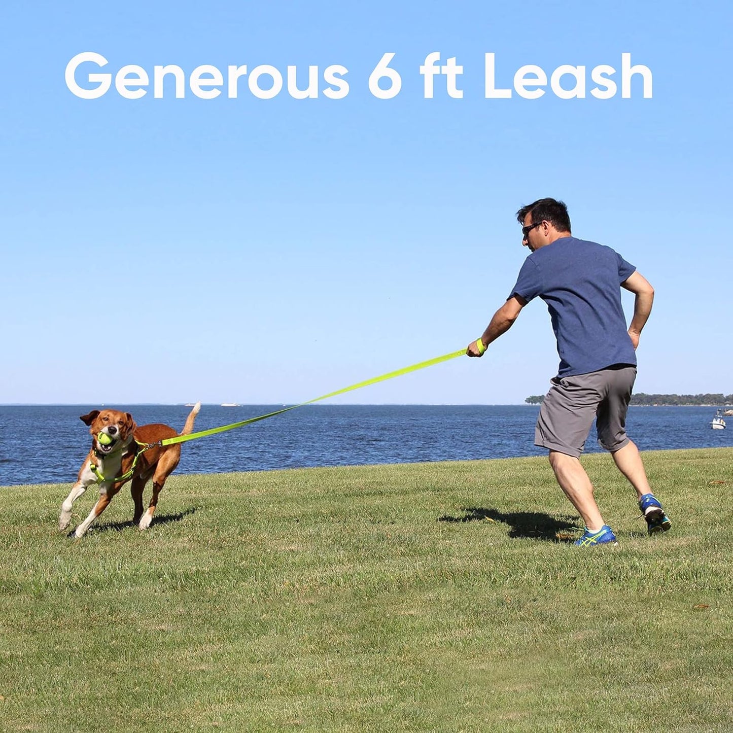 Orange Dog Leash 6 Ft M/L Reflective Durable Lightweight Dog Lead for Medium or Large Dogs and Puppies