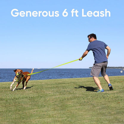 Orange Dog Leash 6 Ft M/L Reflective Durable Lightweight Dog Lead for Medium or Large Dogs and Puppies