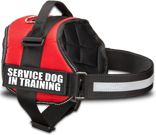 Service Dog in Training Vest Harness, Small 19.5-25 in Red