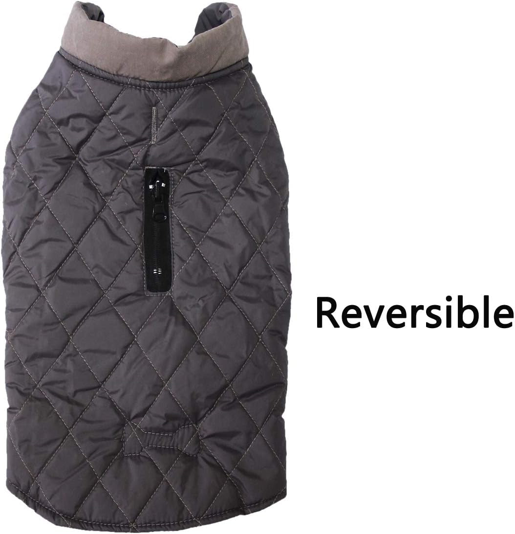 Reversible Dog Coat for Small Dogs with 2 Leash Openings