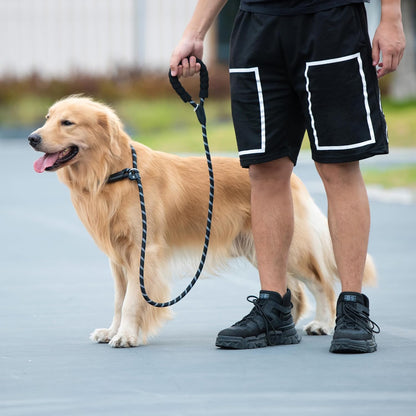 Durable Slip Lead Dog Leash, 1/2" X 4 FT, Black