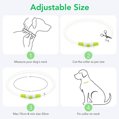 Light up Dog Collar, USB Rechargeable LED Glow Necklace, Cyan