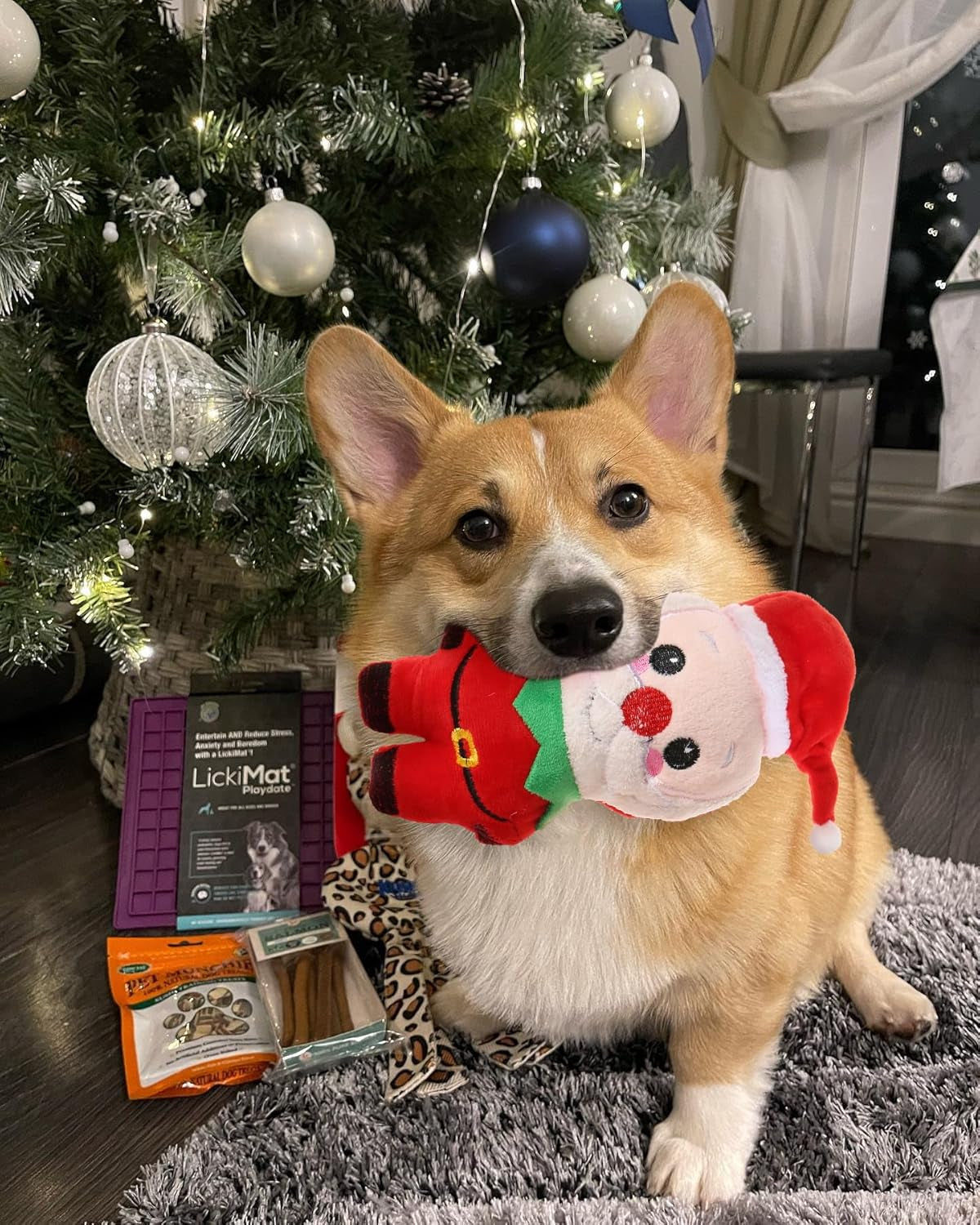 Small Dog Toy Christmas, Plush Squeaky Puppy Toy, Holiday Dog Toy Gift Set